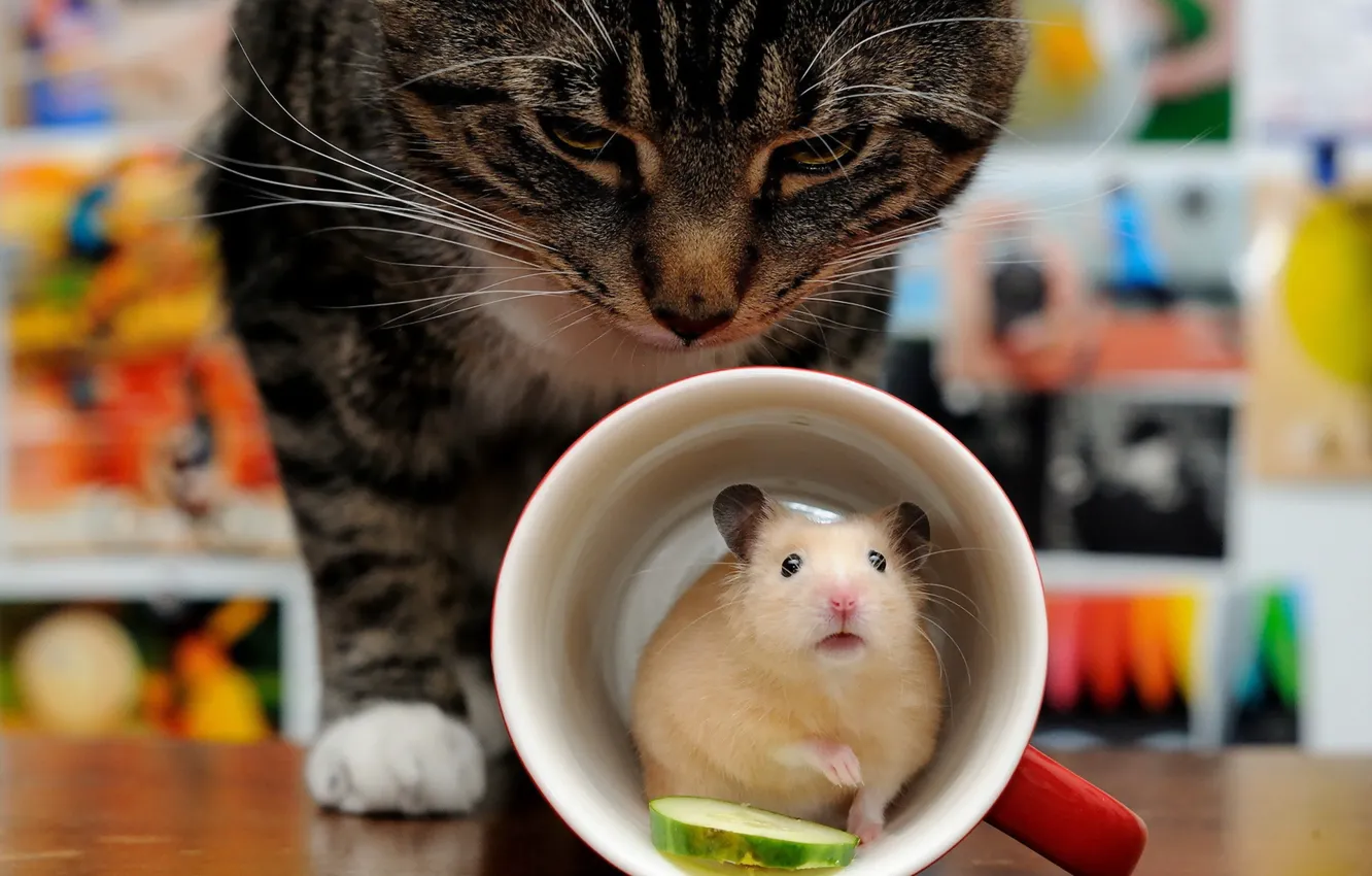 Фото обои кошка, мышка, чашка