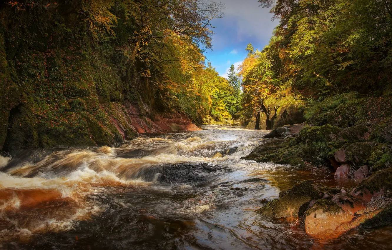 Фото обои осень, лес, свет, деревья, природа, река, камни, течение