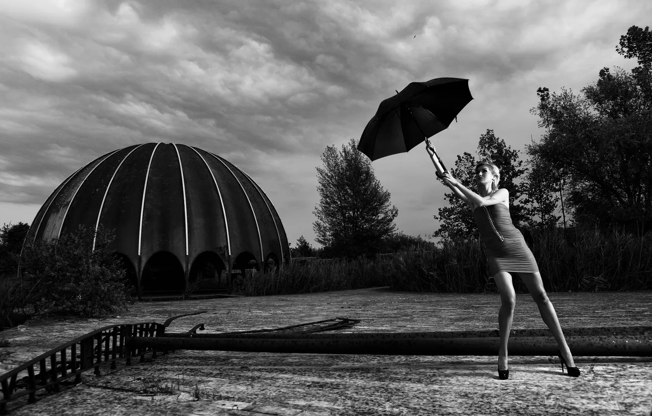 Фото обои девушка, фон, зонт