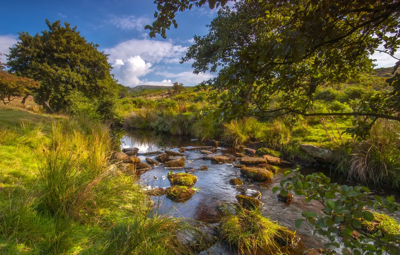 Фото обои деревья, река, Англия, речка, England, Peak District National Park, Derbyshire, Дербишир