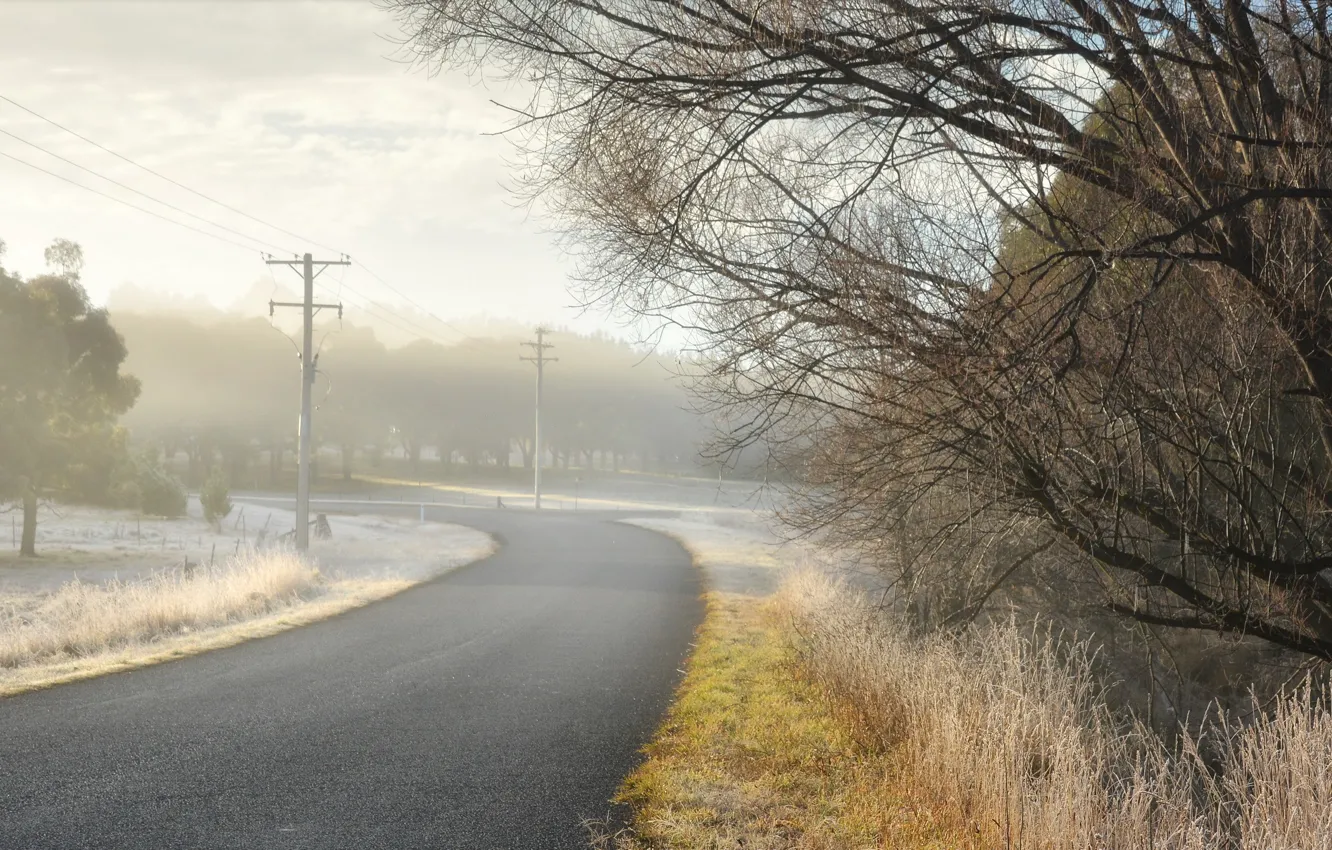 Фото обои дорога, туман, утро