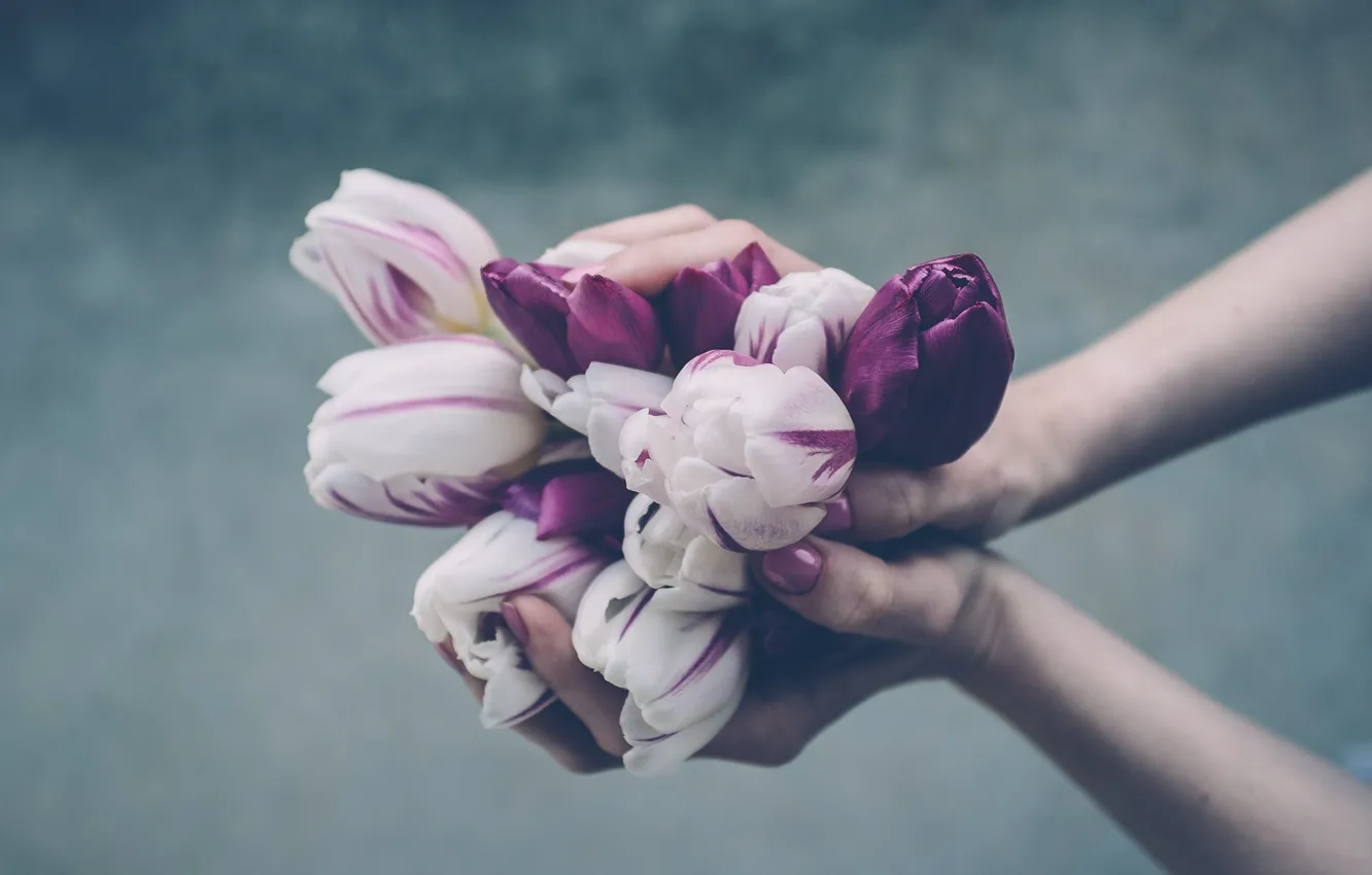 Фото обои flowers, hands, bouquet