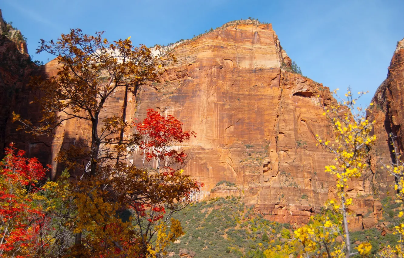 Фото обои осень, небо, листья, деревья, скала, гора