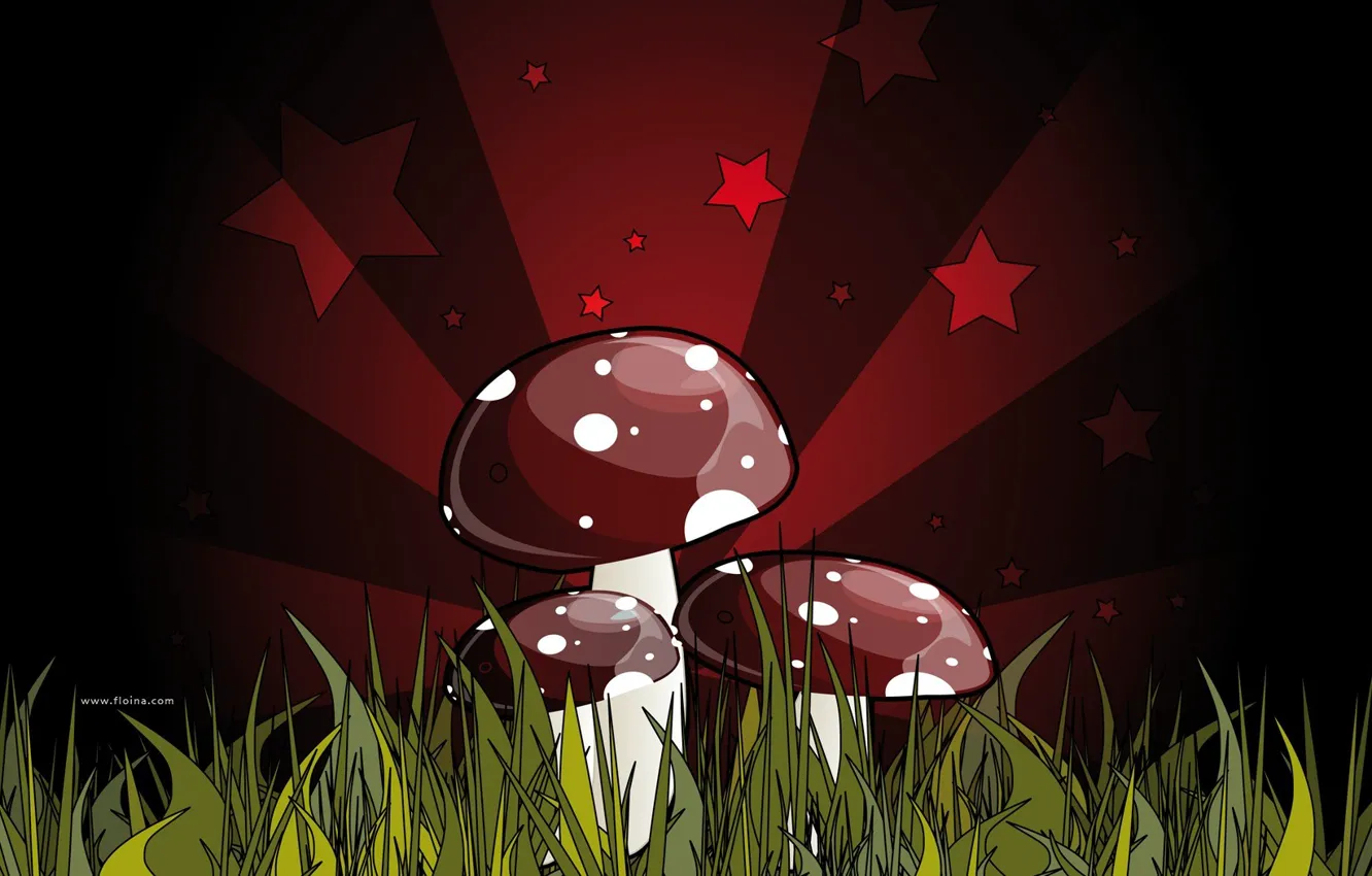 Фото обои красный, зеленый, рисунок, смертельный, грибы, поганка. ядовитый, гриб, темный