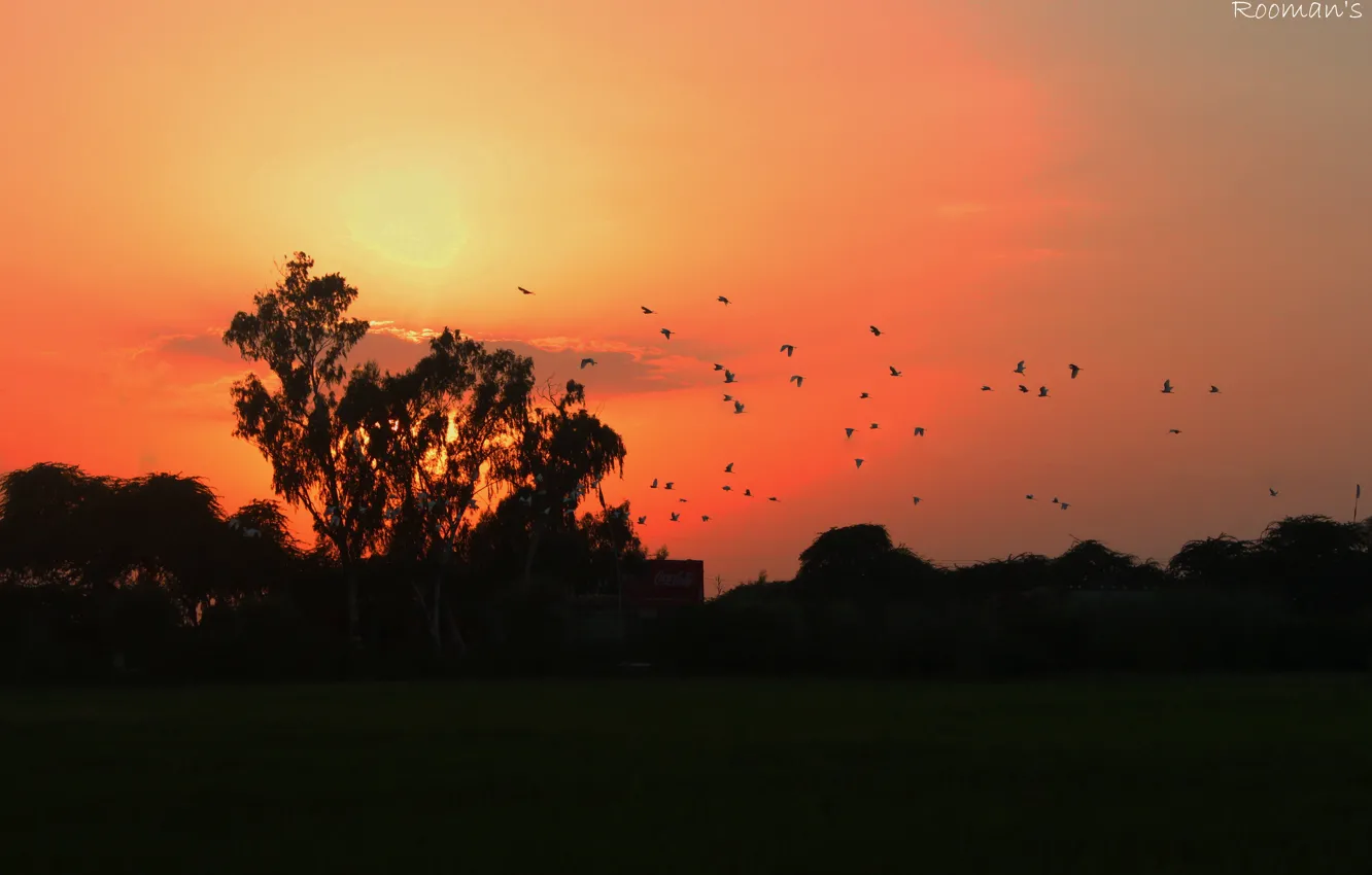 Фото обои nature, Sunset, beautiful, evening, sun&amp;sky