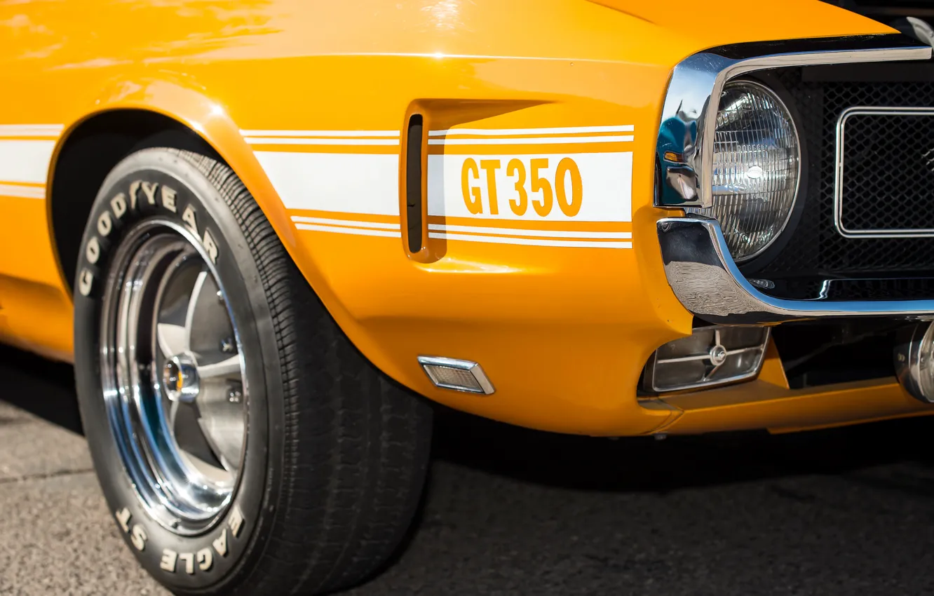Фото обои Ford, Shelby, 1969, мускул кар, GT350