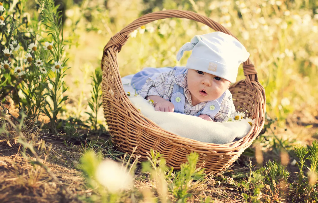 Фото обои цветы, корзина, ромашки, шапочка, младенец