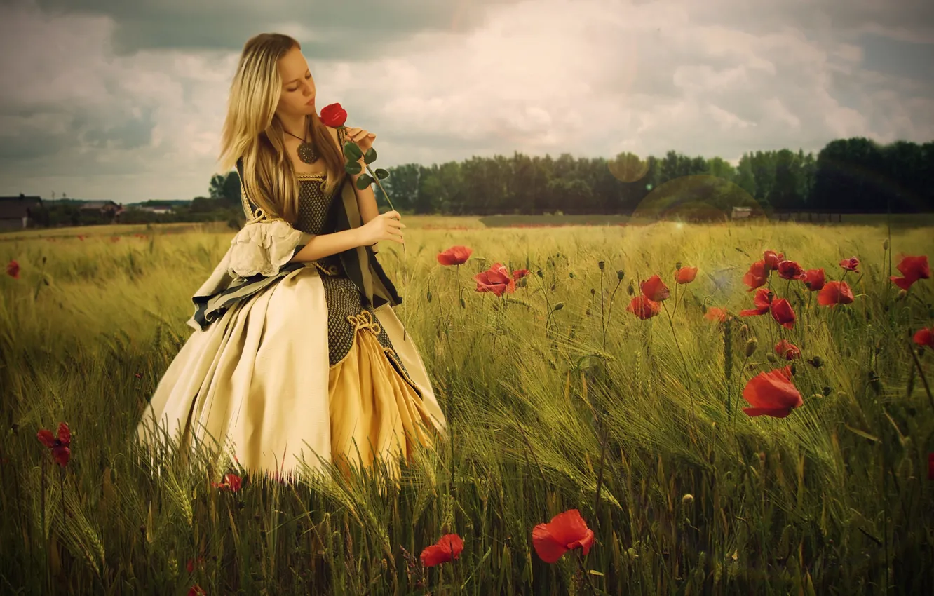 Фото обои поле, девушка, цветы, настроение, роза, маки, платье