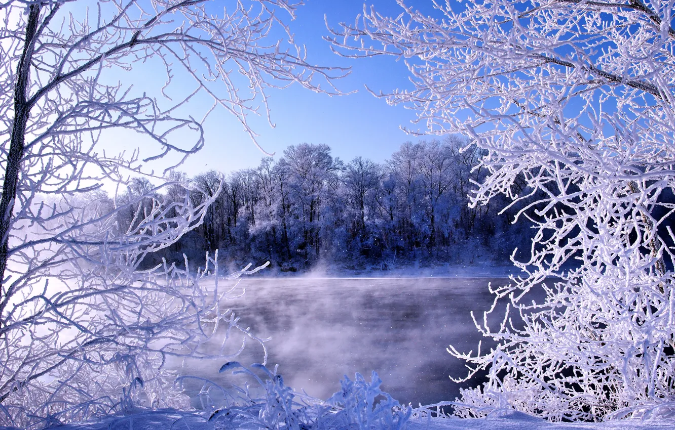 Фото обои зима, иней, река, мороз