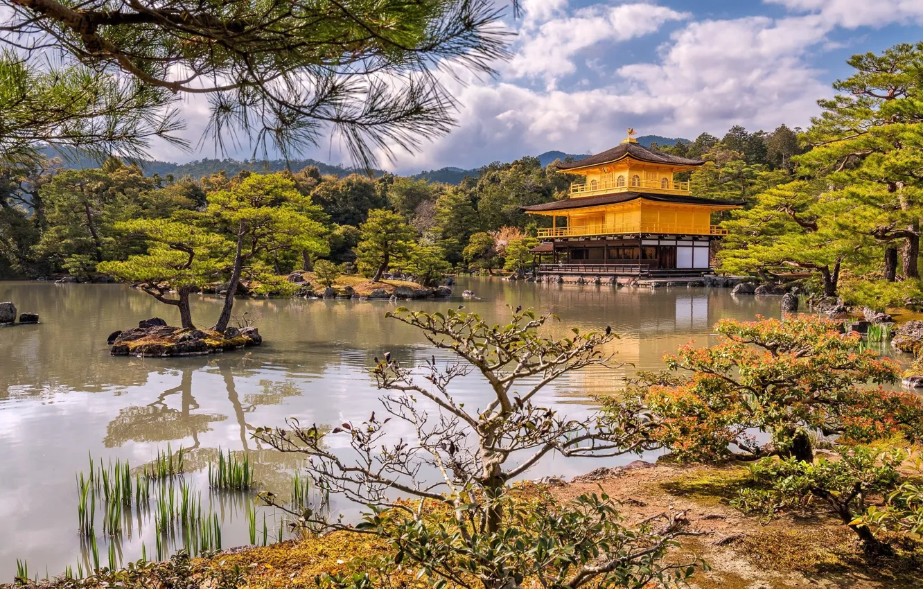 Фото обои деревья, озеро, парк, замок, берег, Япония, Киото, островки