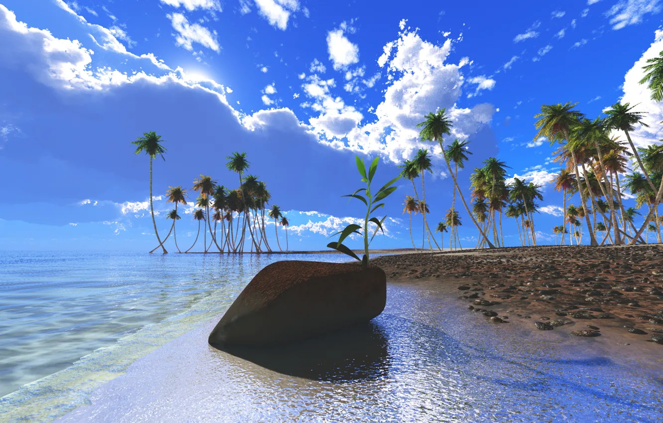 Фото обои пляж, небо, пальмы, океан