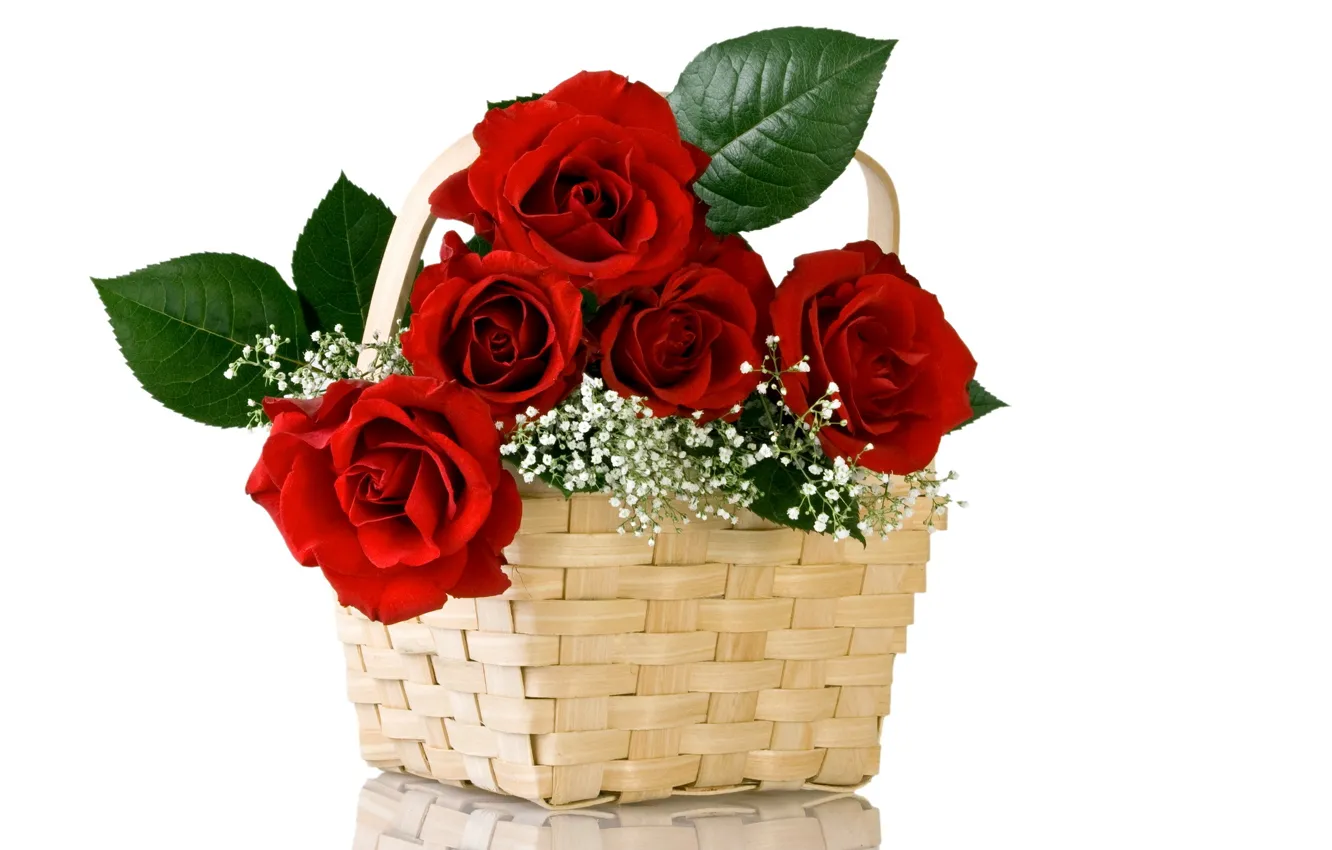 Фото обои цветок, цветы, природа, корзина, розы, букет, красные, корзинка