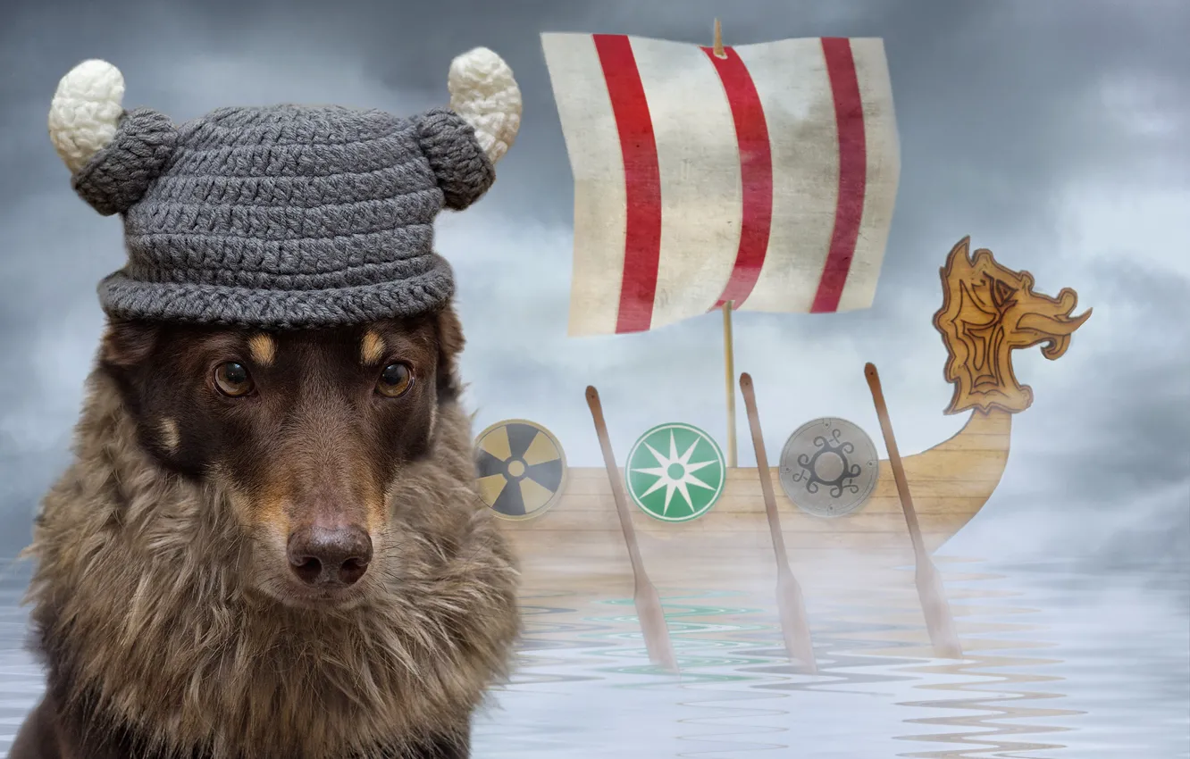 Фото обои шапка, корабль, парусник, собака, компютерный дизайн
