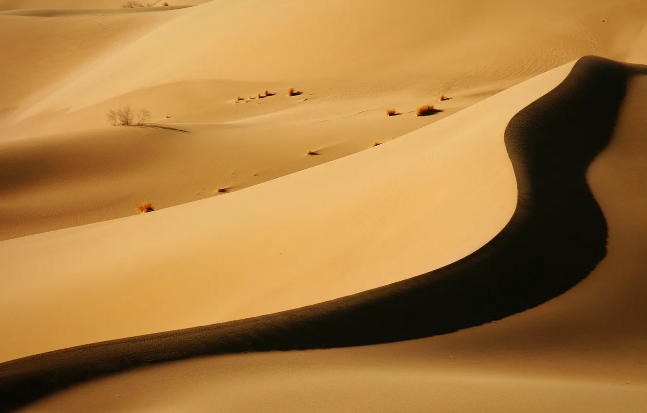 Фото обои пустыня, тень, Бархан