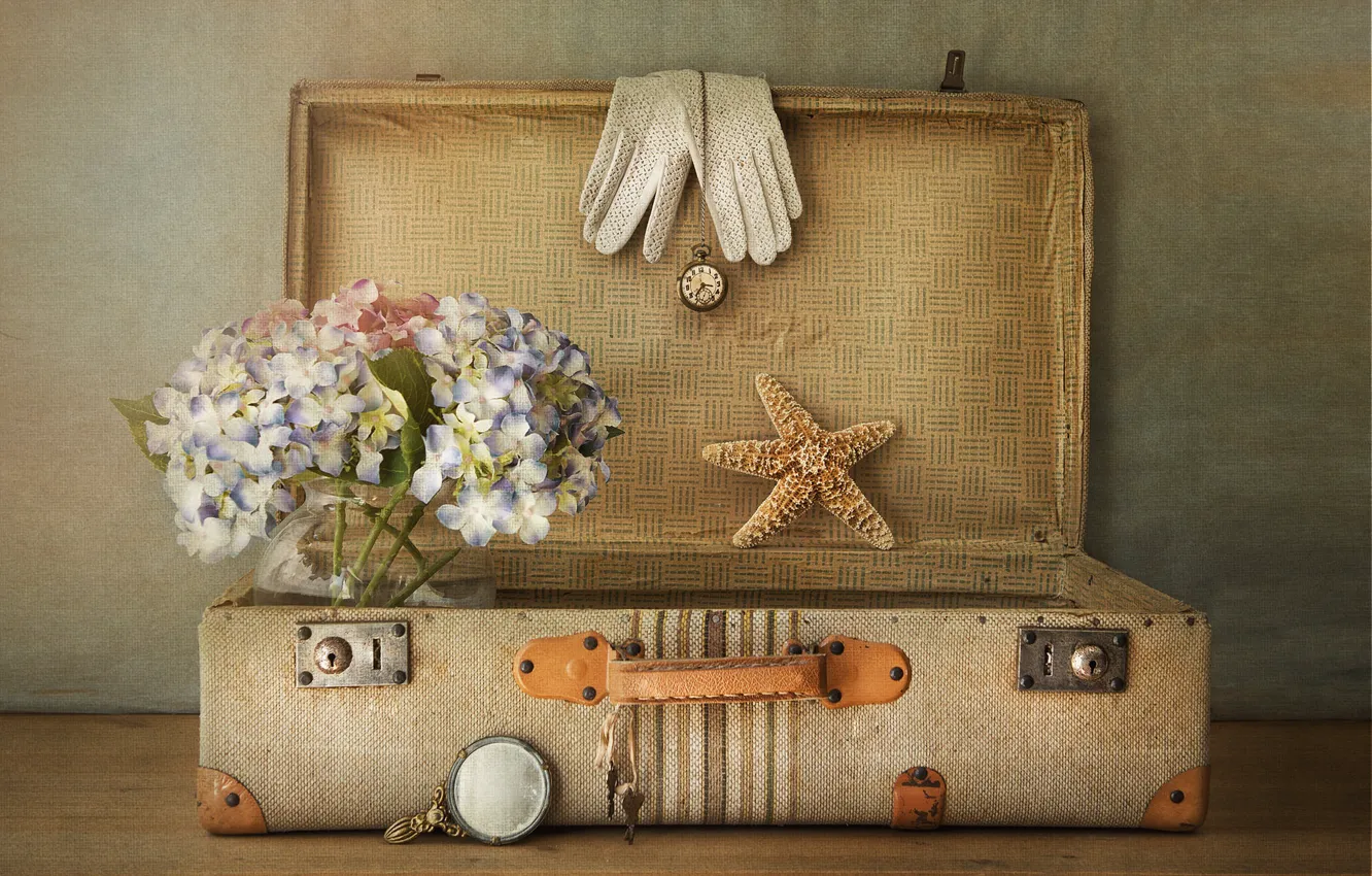 Фото обои текстура, перчатки, чемодан, морская звезда, гортензия
