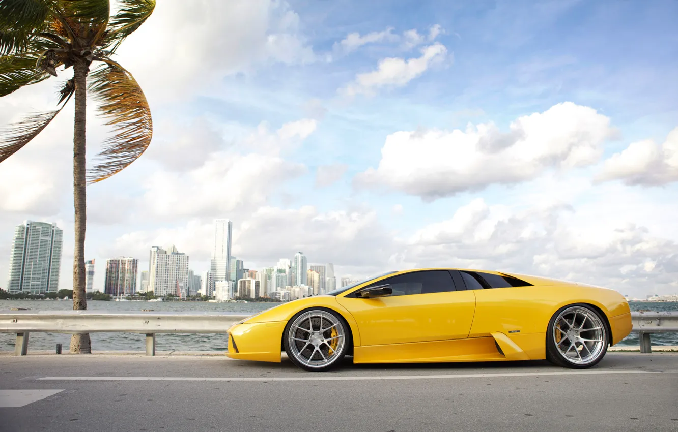 Фото обои дорога, небо, облака, пальма, ветер, Lamborghini, диски, желток