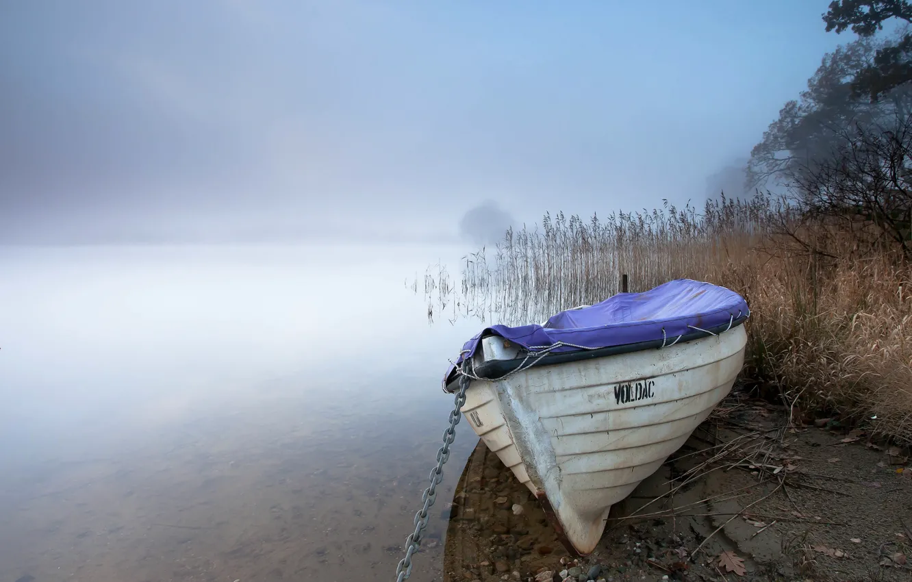 Фото обои туман, озеро, лодка, камыш