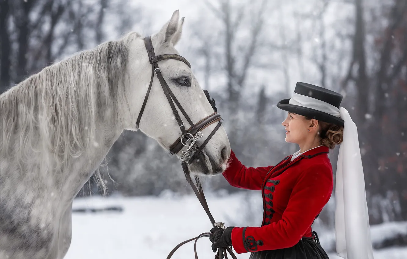 Фото обои зима, девушка, животное, конь, Юлия Бусыгина