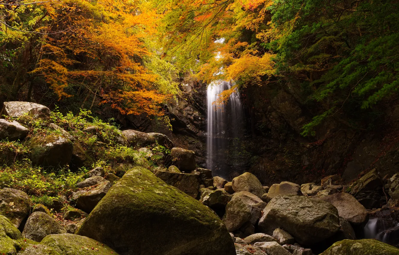 Фото обои осень, лес, листья, деревья, скала, камни, водопад, мох