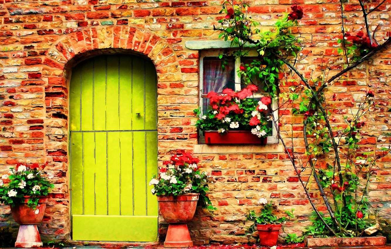 Фото обои Цветы, Рисунок, Окно, Дверь, Арт, Art, Flowers, Door