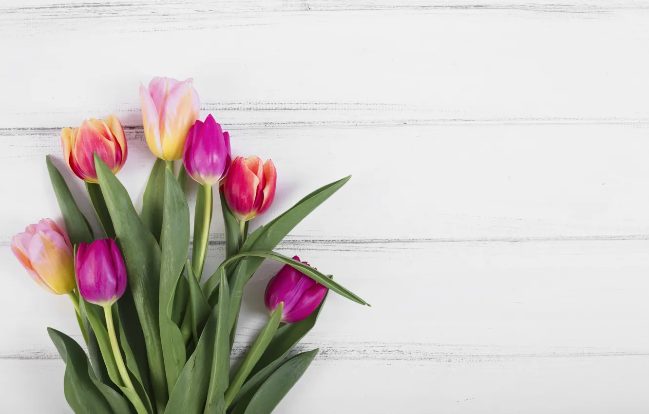 Фото обои цветы, colorful, тюльпаны, розовые, wood, pink, flowers, tulips