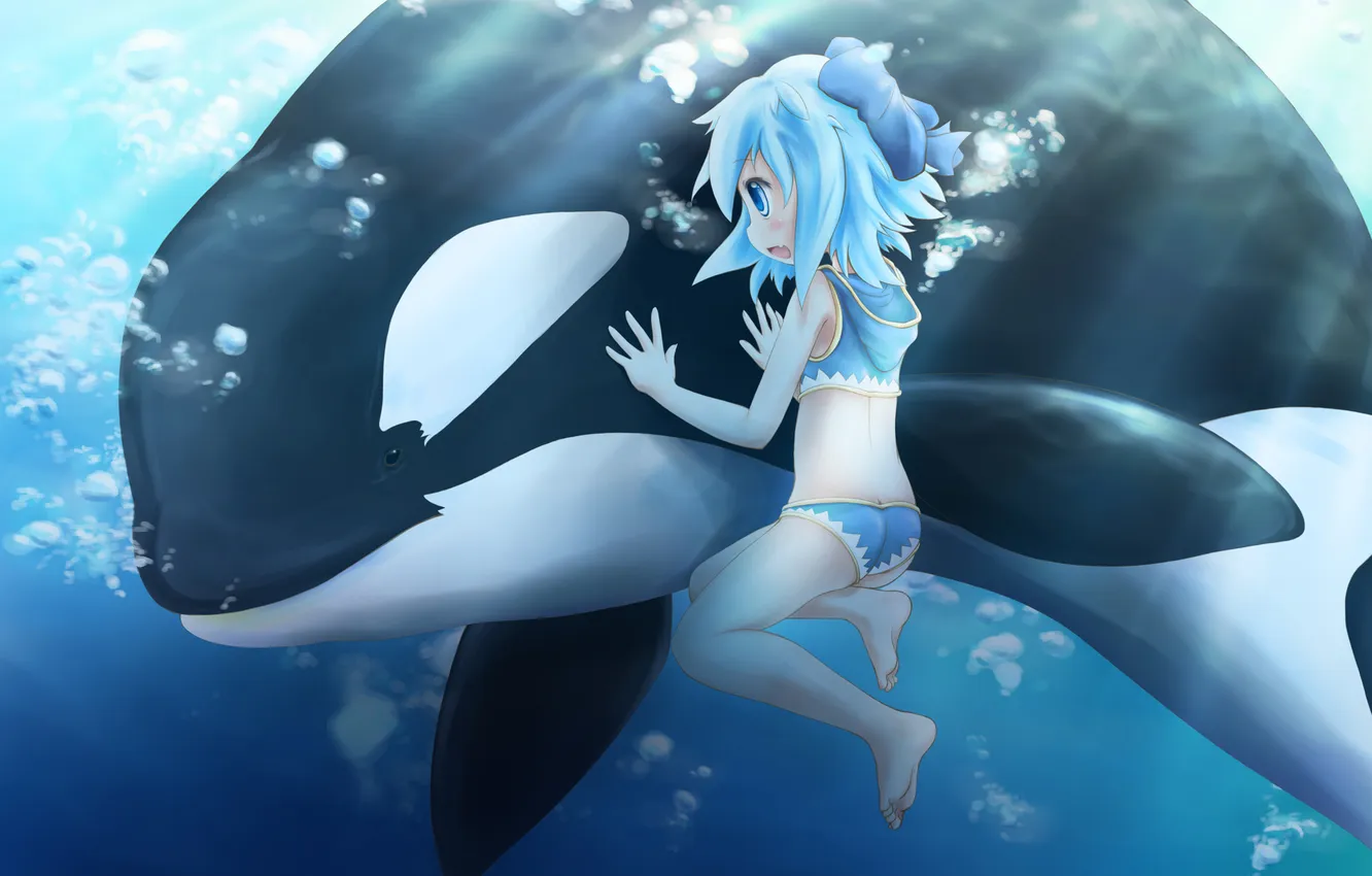 Фото обои дельфин, пузыри, арт, девочка, под водой, touhou, cirno, manahui