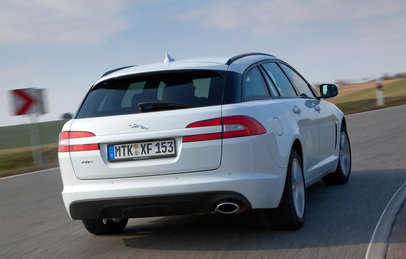 Фото обои дорога, авто, Jaguar, вид сзади, Sportbrake