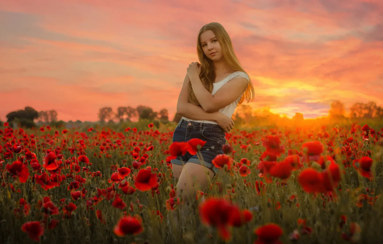 Фото обои поле, девушка, закат, цветы, поза, шорты, маки, футболка