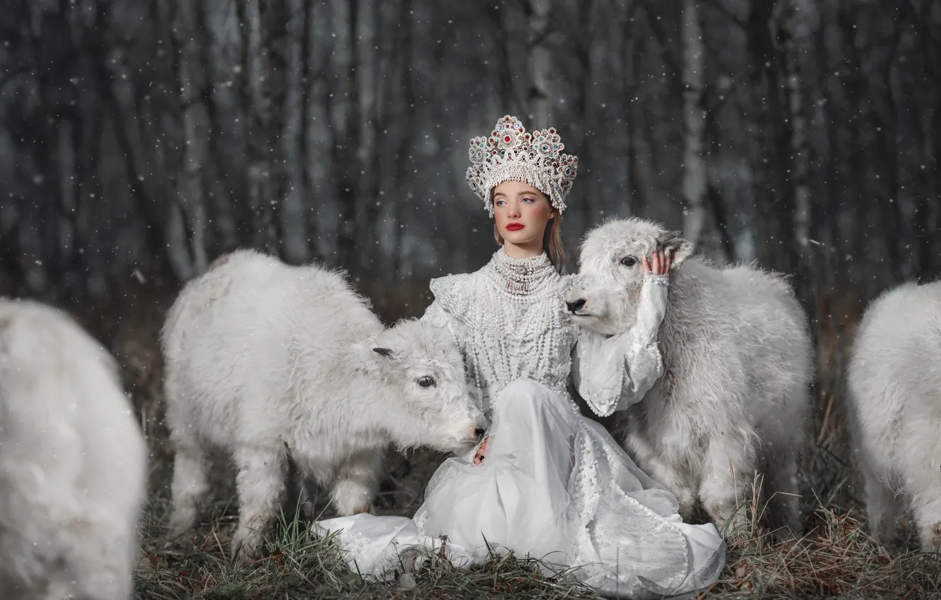 Фото обои зима, взгляд, девушка, снег, природа, поза, костюм, наряд