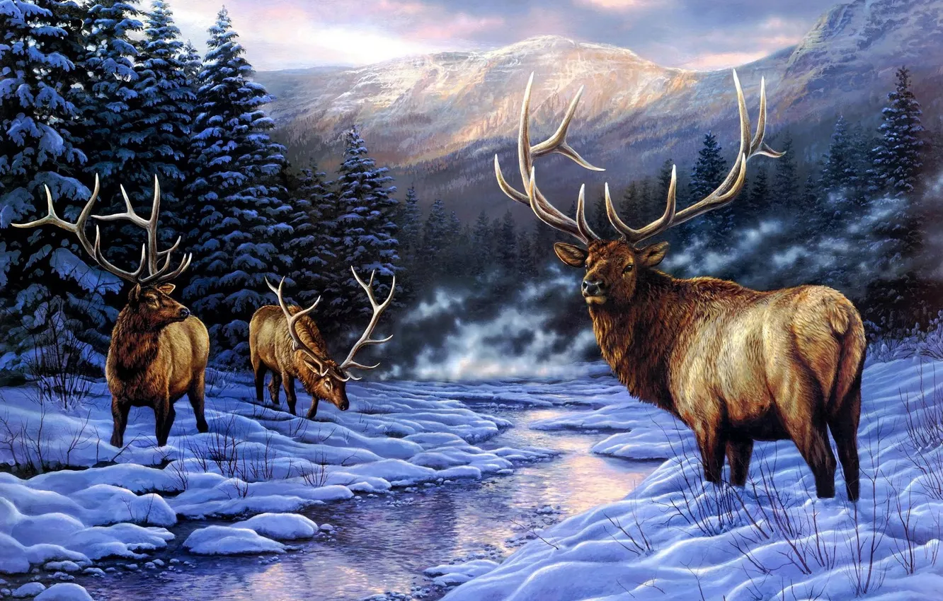 Фото обои winter, Item, Deers