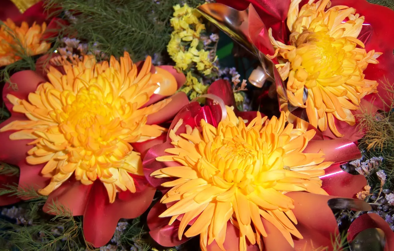 Фото обои цветы, букет, хризантемы, Meduzanol ©