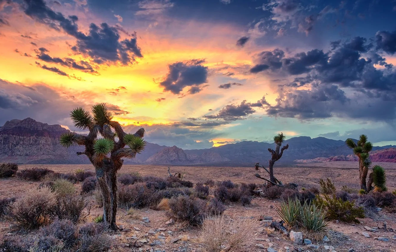 Фото обои USA, sky, desert, landscape, nature, sunset, mountains, clouds