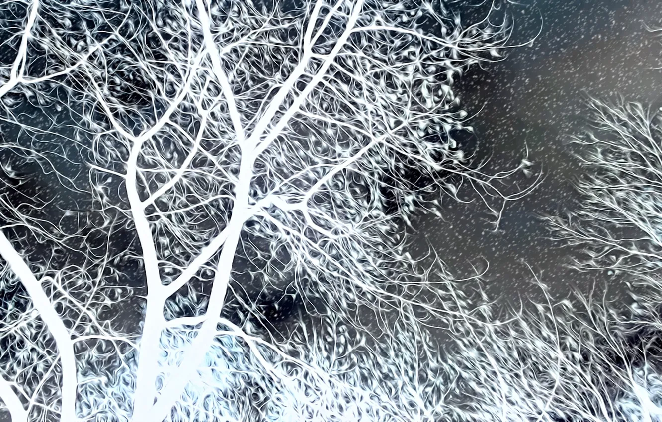Фото обои деревья, ночь, рендеринг, ветви, снегопад, черное и белое, поздняя осень, ненастье