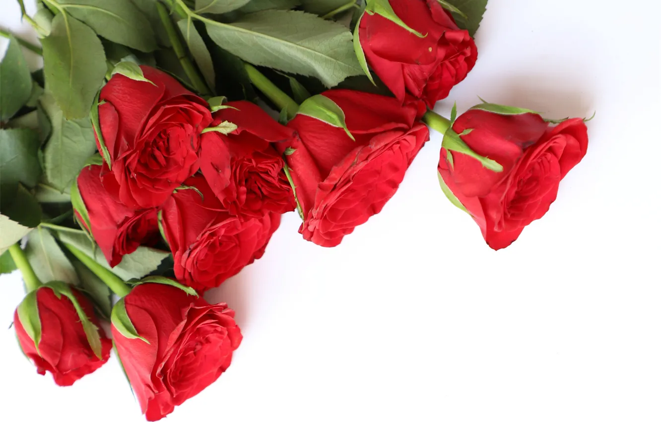 Фото обои любовь, цветы, красный, розы, букет, red, wood, flowers
