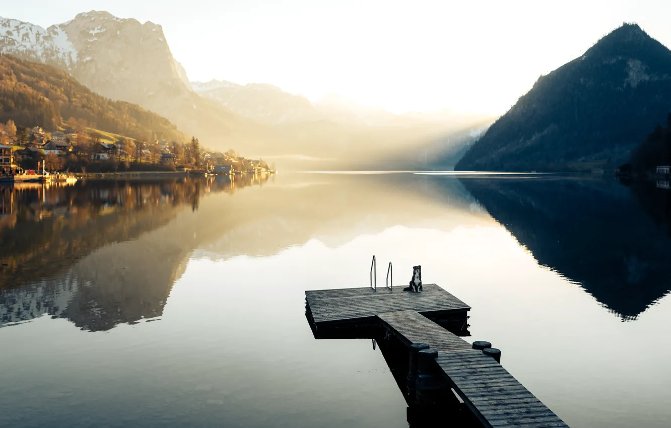Фото обои озеро, собака, Salzkammergut, Austria