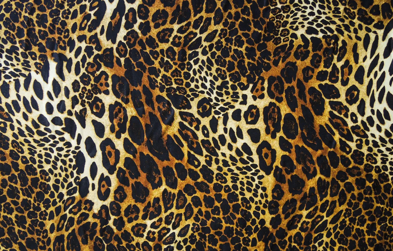 Фото обои шерсть, леопард, шкура, мех, текстуры