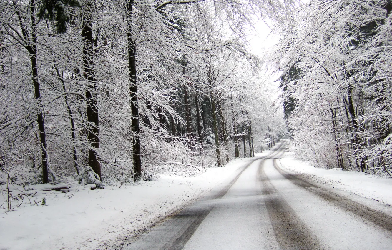 Фото обои зима, дорога, лес, снег, пасмурно, поворот, вдаль