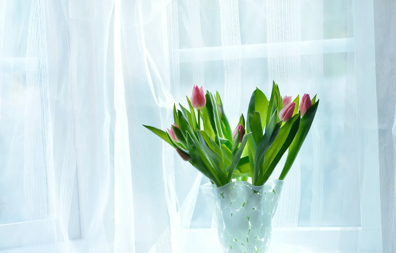 Фото обои цветы, дом, комната, букет, окно, тюльпаны, ваза