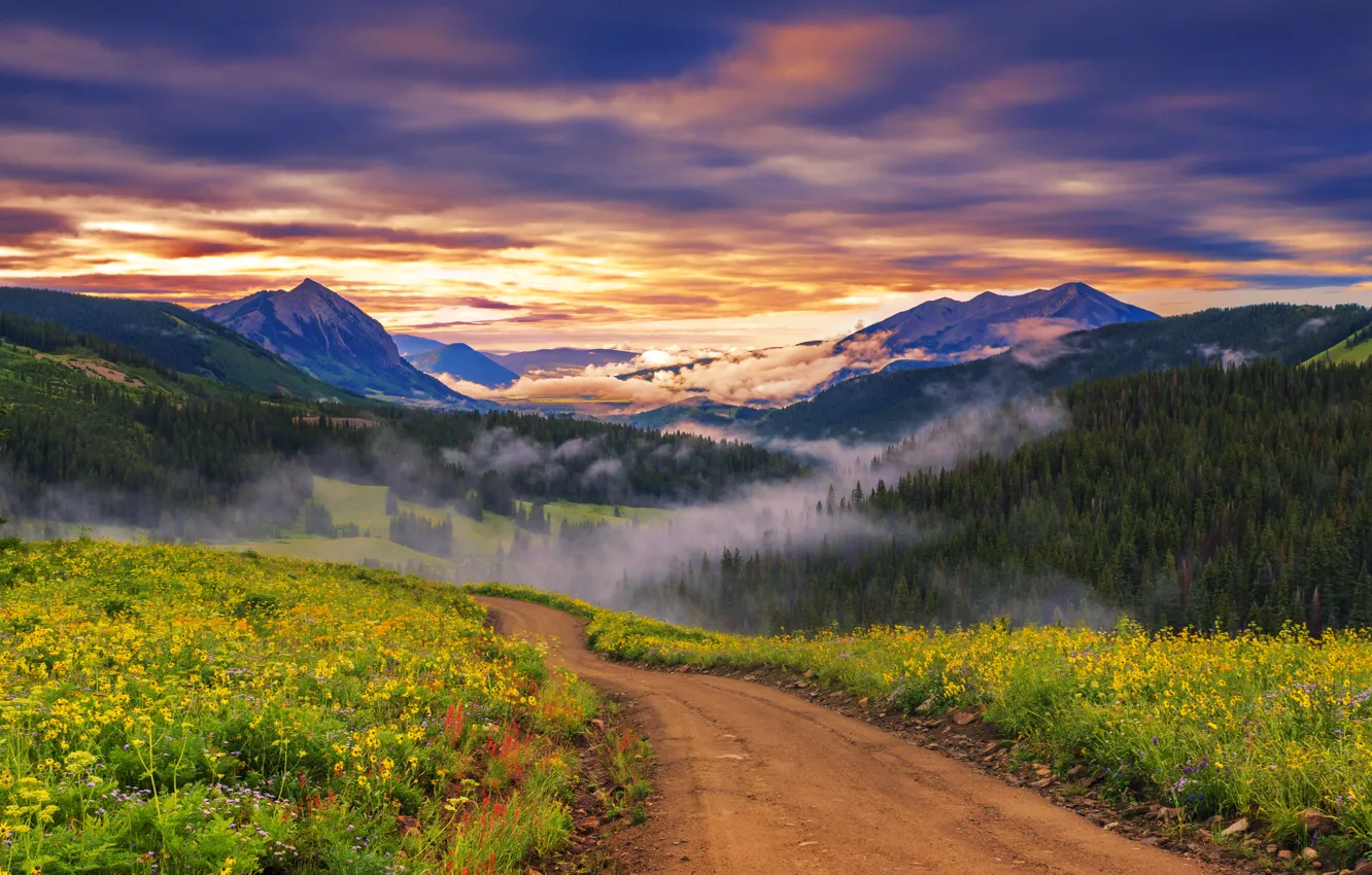 Фото обои дорога, трава, цветы, горы, туман, рассвет, долина, леса