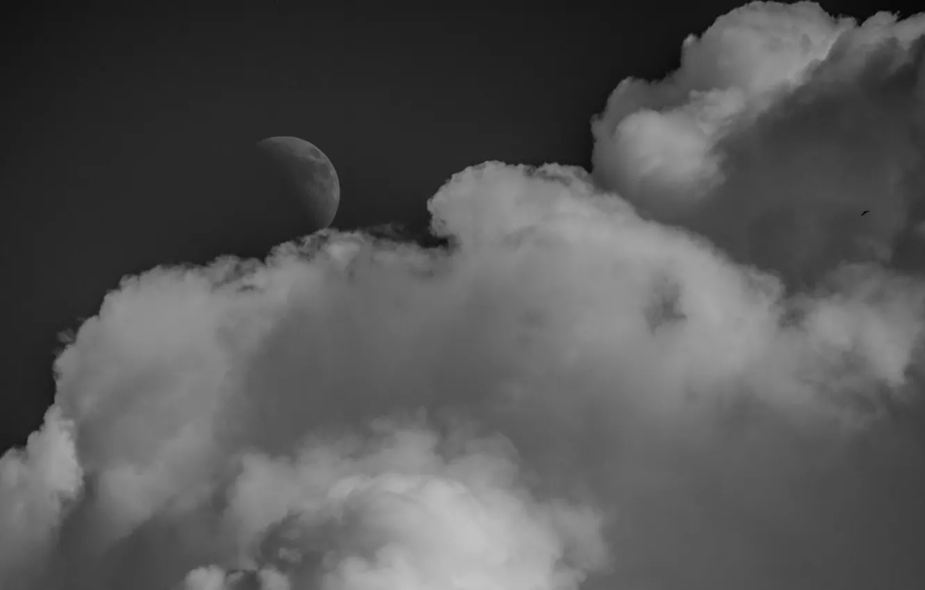 Фото обои облака, луна, Небо