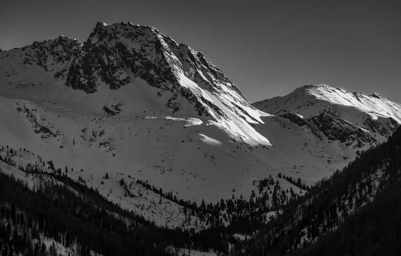Фото обои зима, небо, снег, деревья, горы, природа, скалы, черно-белое