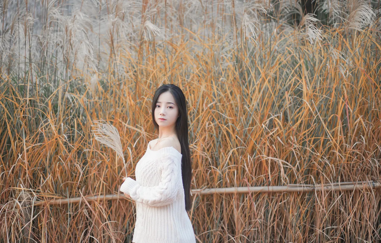 Фото обои Beautiful, Asian, Model, Woman, Pretty, Hair, Pose, Sweater