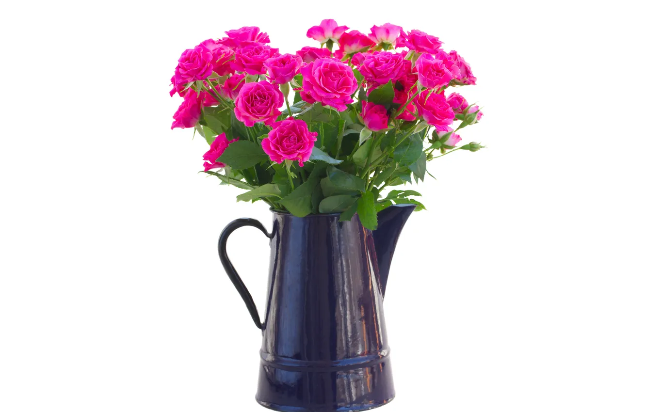Фото обои цветы, чайник, розовые розы