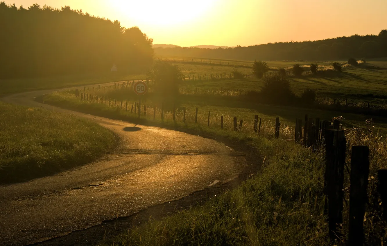 Фото обои дорога, трава, солнце, лучи, свет, деревья, природа, путь