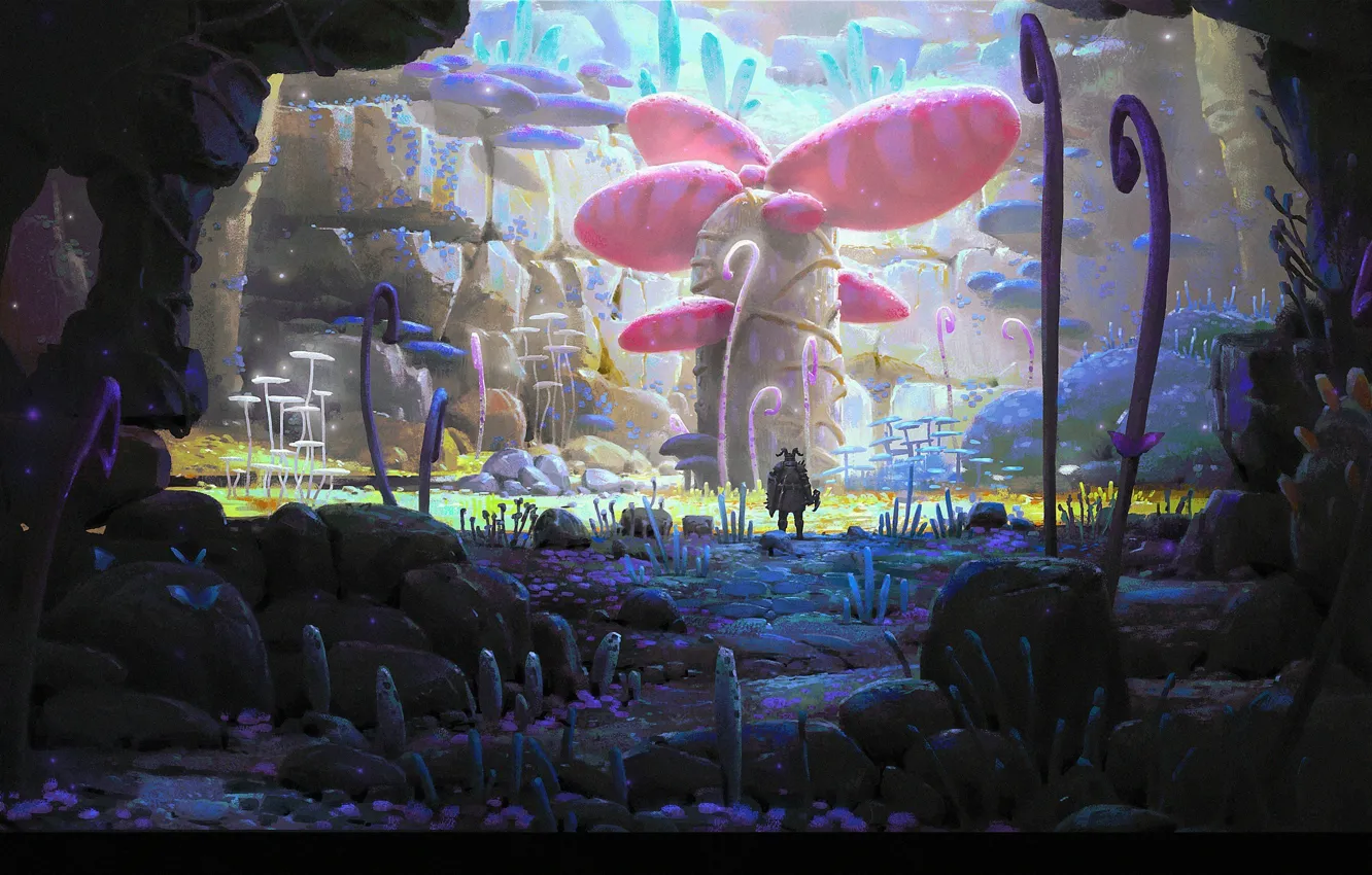 Фото обои камни, скалы, грибы, растение, Explorer