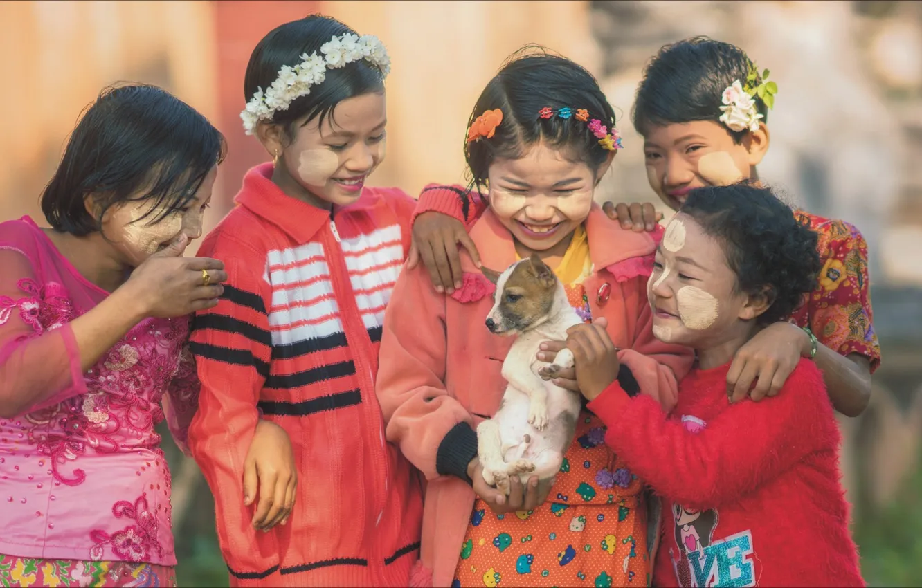 Фото обои дети, эмоции, девочки, собака, щенок, girls, пять, dog