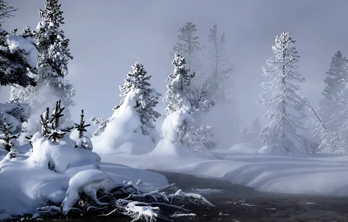 Фото обои Зима, Снег, Пейзаж