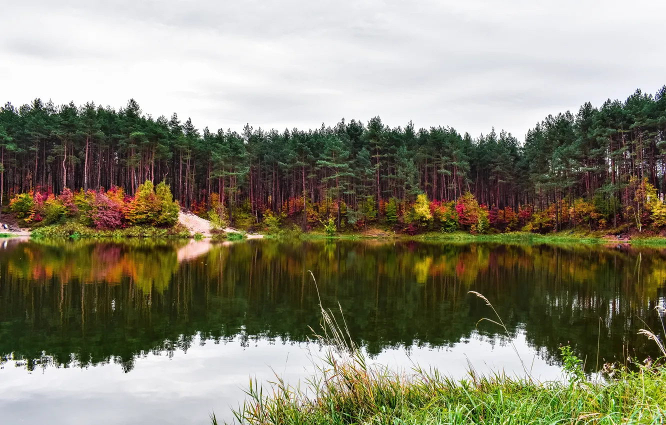Фото обои осень, деревья, озеро