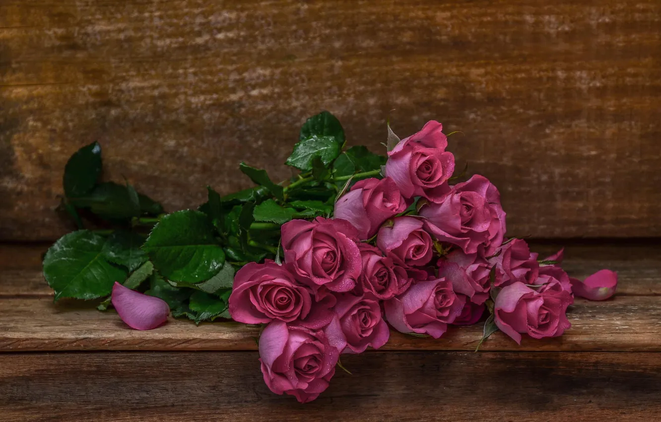 Фото обои цветы, HDR, розы, букет, розовые