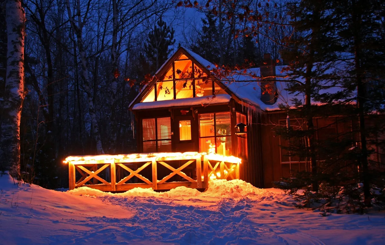 Фото обои лес, снег, ночь, огни, дом, Зима, ели, березы
